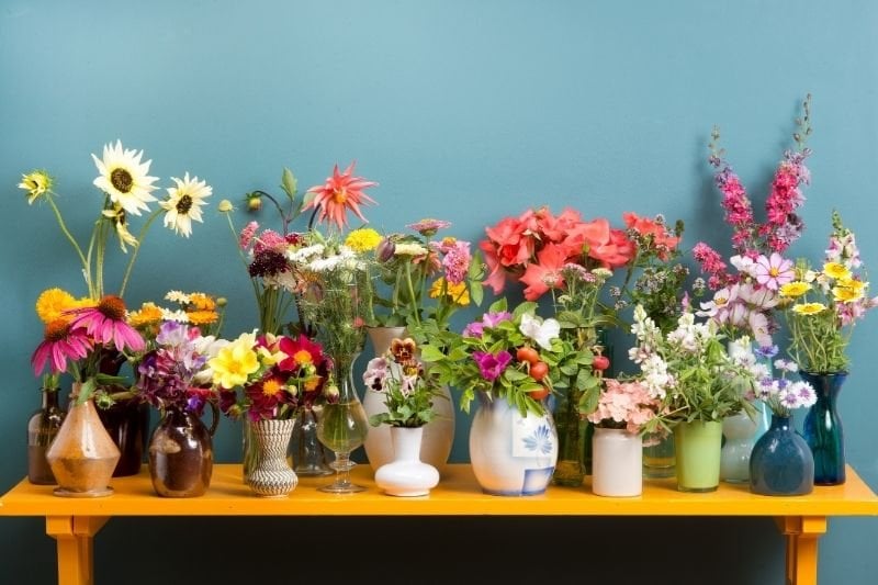 Revitalize Home with Colorful Flowers