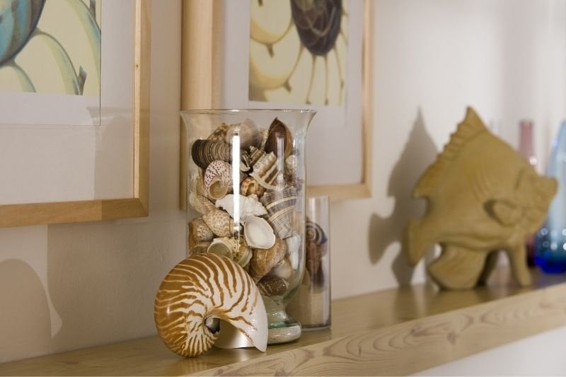 Decorating Your Home with Marine Themed Accessories