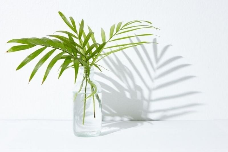 Coffee Table Decoration with Glass Bell Jar