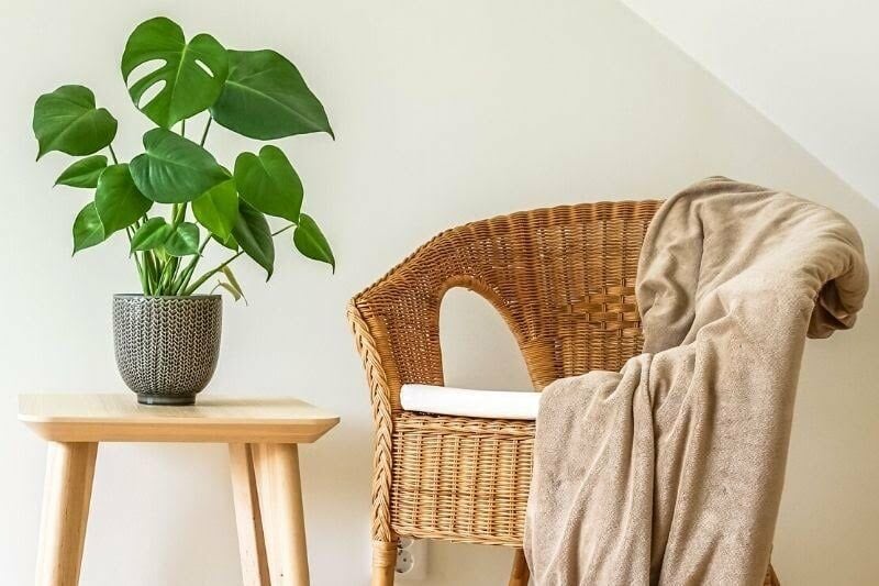 Rattan Nedir? Rattan Mobilya Tercih Etmenin Avantajları