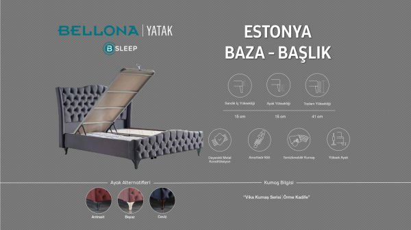 Estonya Baza - Vizon