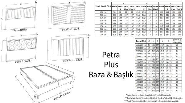 Petra Plus Foundation